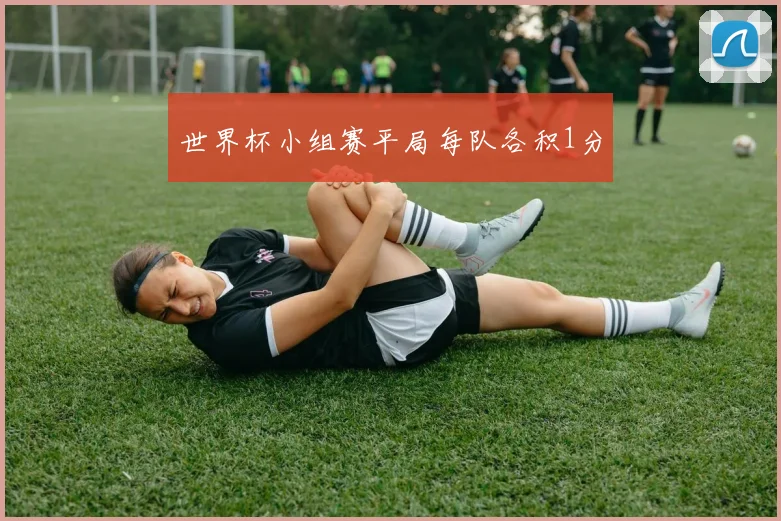 世界杯小组赛平局每队各积1分
