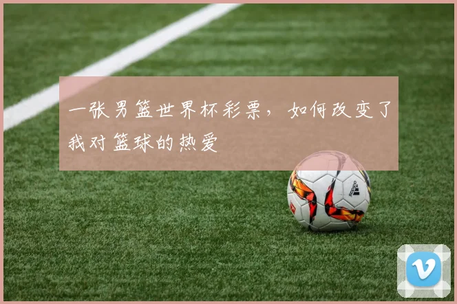一张男篮世界杯彩票，如何改变了我对篮球的热爱