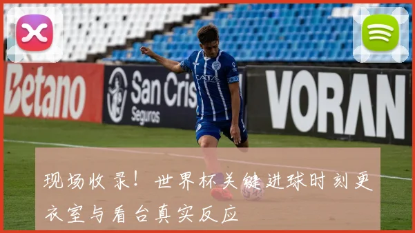 现场收录！世界杯关键进球时刻更衣室与看台真实反应