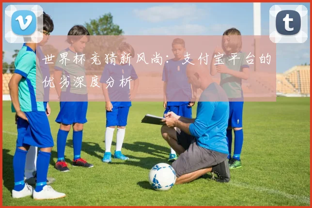 世界杯竞猜新风尚：支付宝平台的优劣深度分析