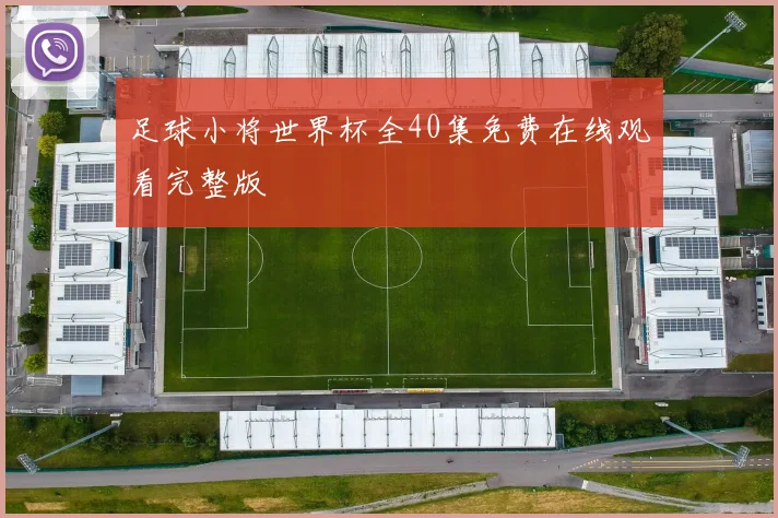 足球小将世界杯全40集免费在线观看完整版
