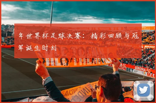 年世界杯足球决赛：精彩回顾与冠军诞生时刻