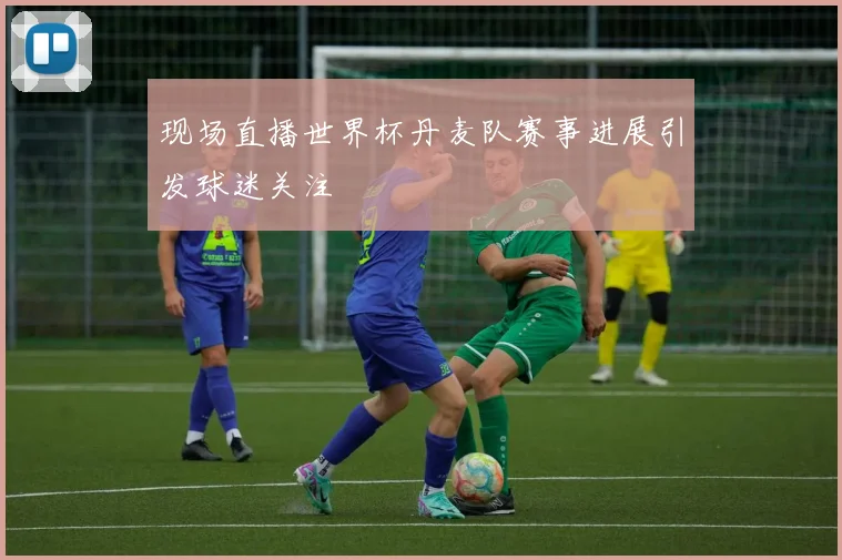 现场直播世界杯丹麦队赛事进展引发球迷关注