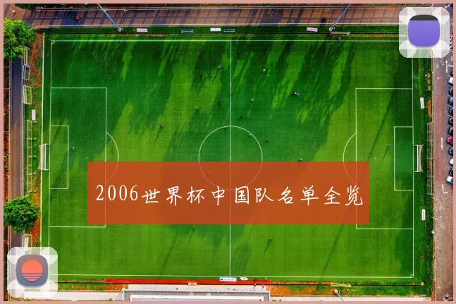2006世界杯中国队名单全览